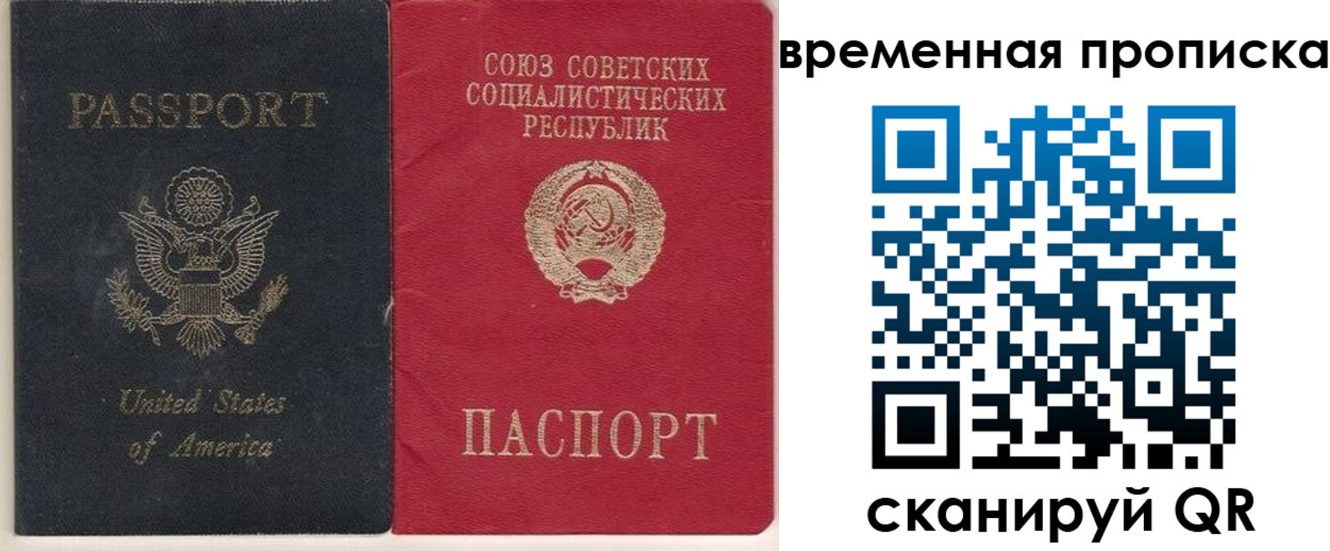 прописка для школы в Кургане